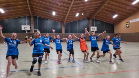 Handball Punktspiel Wje Ghghahnheide 8