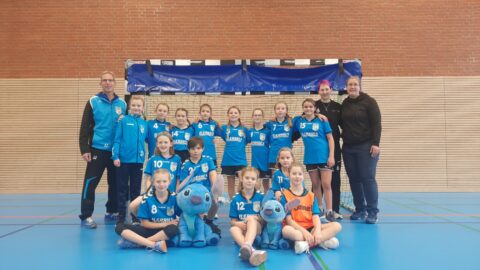 Handball Punktspiel Wje Glindereinbek 1