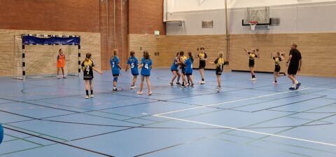 Handball Punktspiel Wje Lauenburg 10