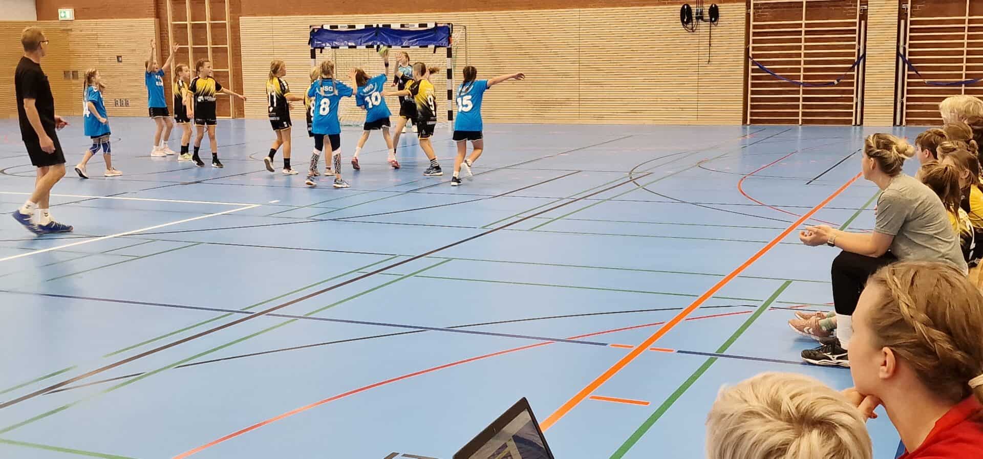 Handball Punktspiel Wje Lauenburg 11