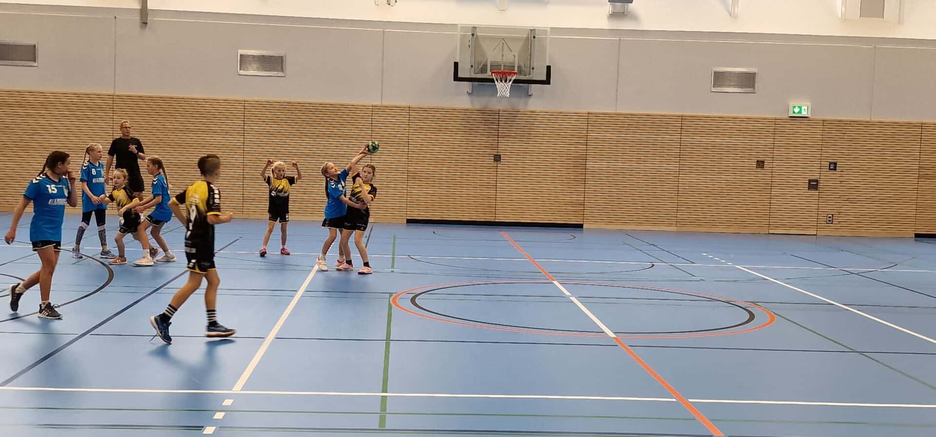 Handball Punktspiel Wje Lauenburg 12