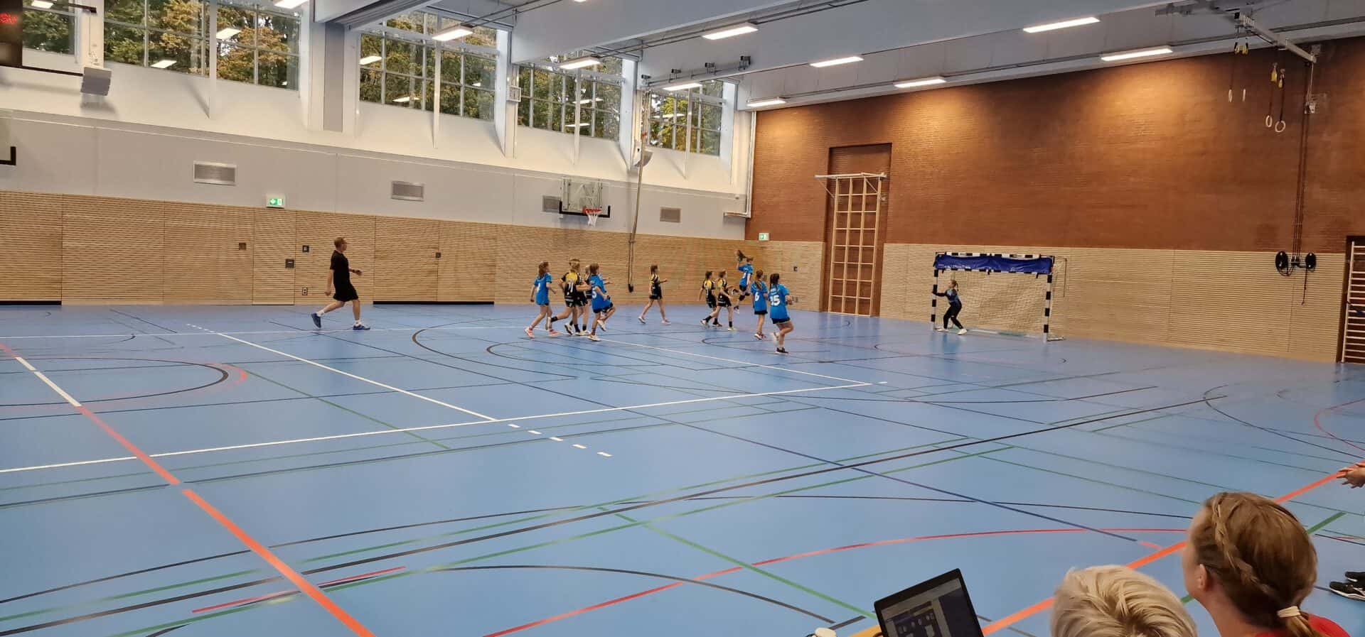 Handball Punktspiel Wje Lauenburg 9