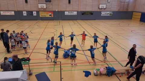 Handball Punktspiel Wje Vflgeesthacht 11
