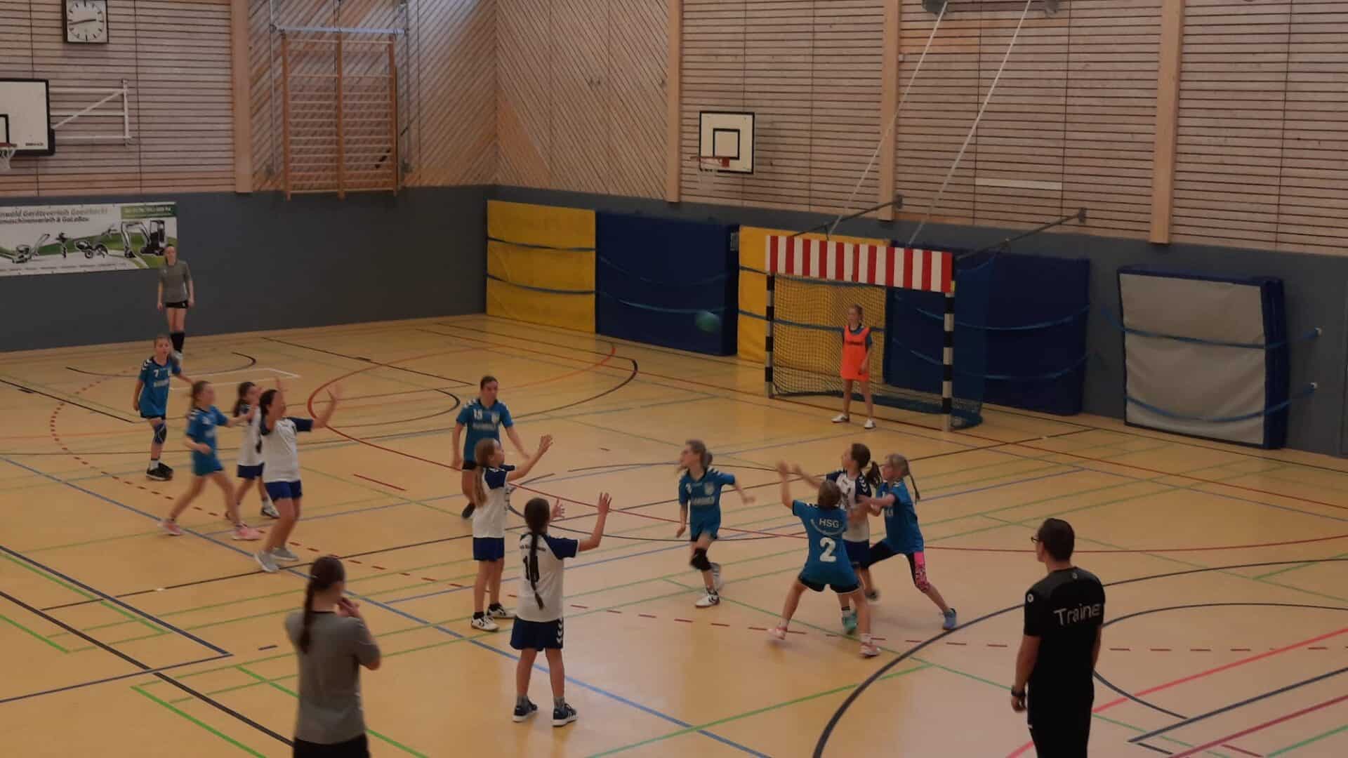 Handball Punktspiel Wje Vflgeesthacht 3