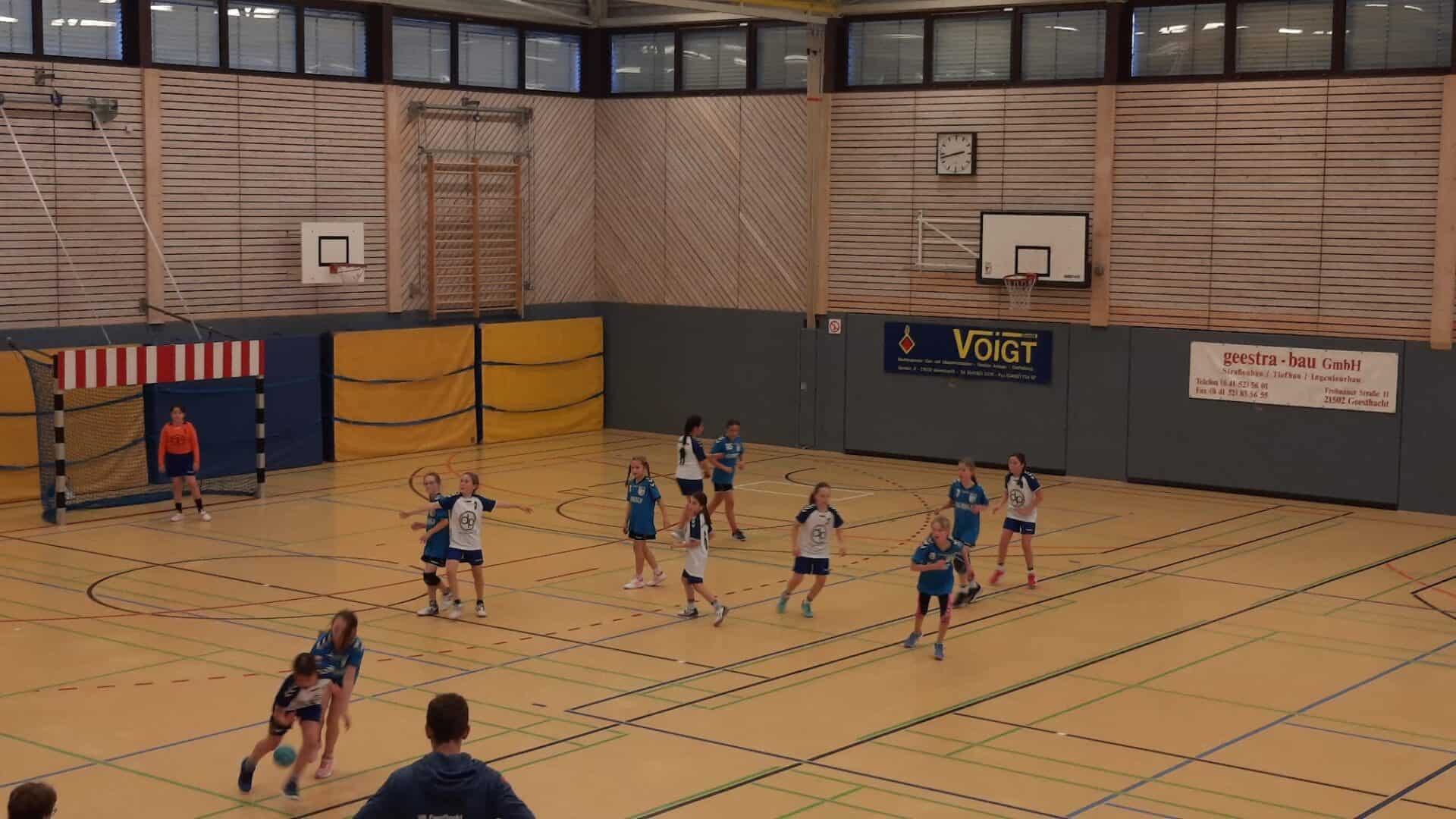 Handball Punktspiel Wje Vflgeesthacht 6
