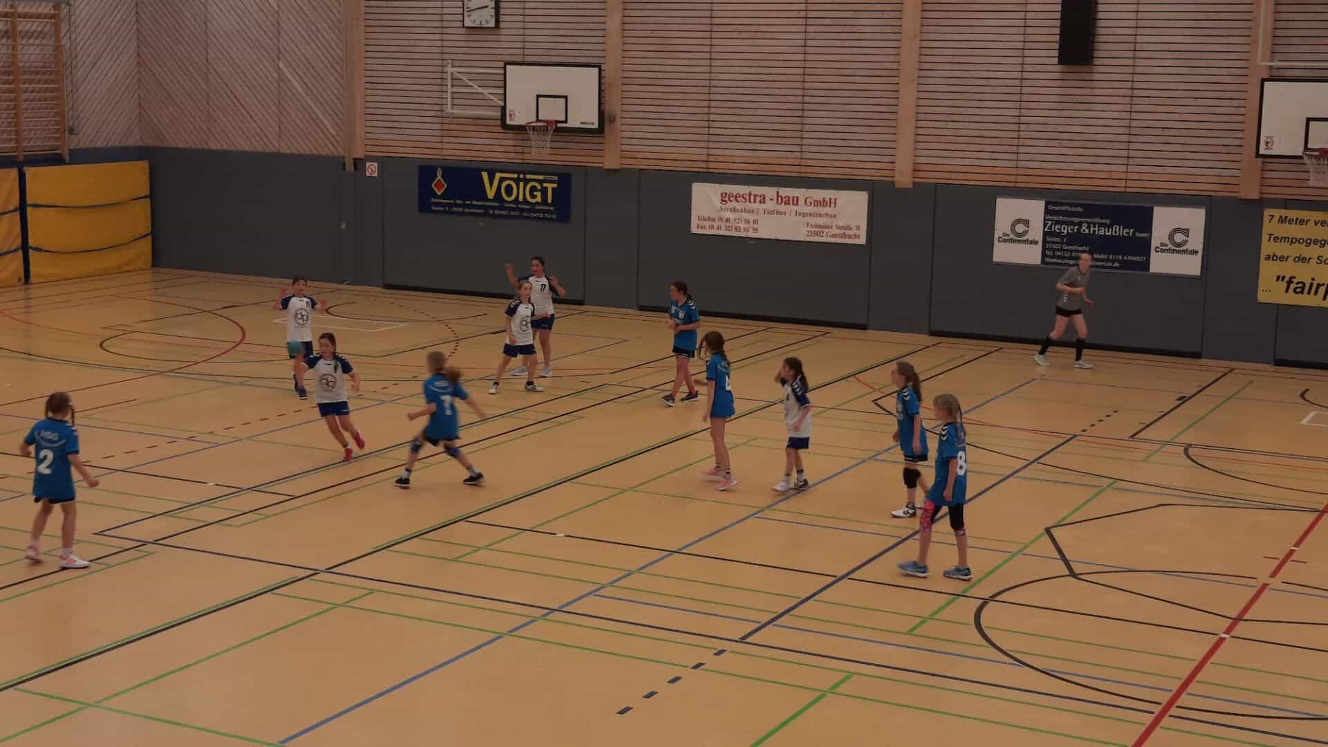 Handball Punktspiel Wje Vflgeesthacht 7