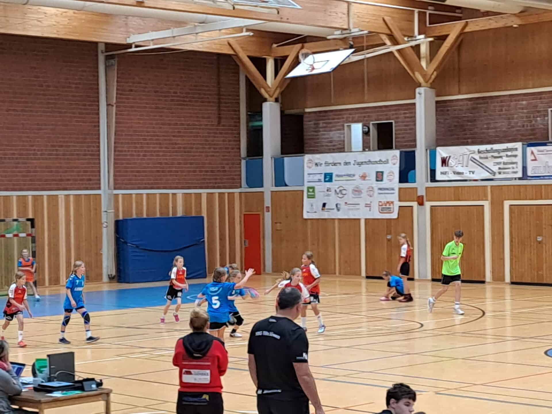 Handball Wje Tillslöwen 12