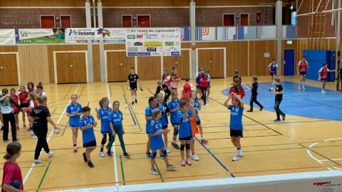 Handball Wje Tillslöwen 14
