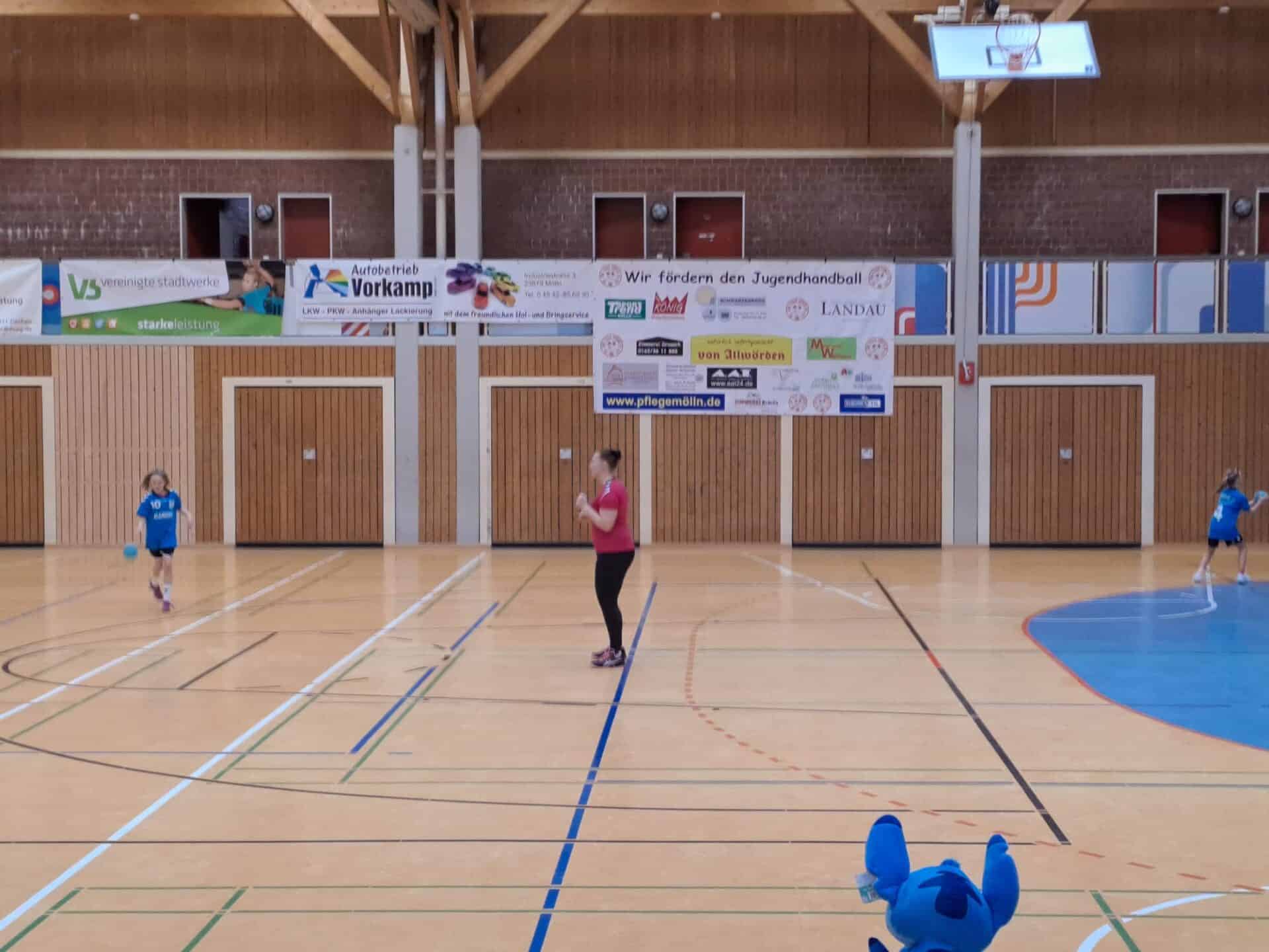 Handball Wje Tillslöwen 7