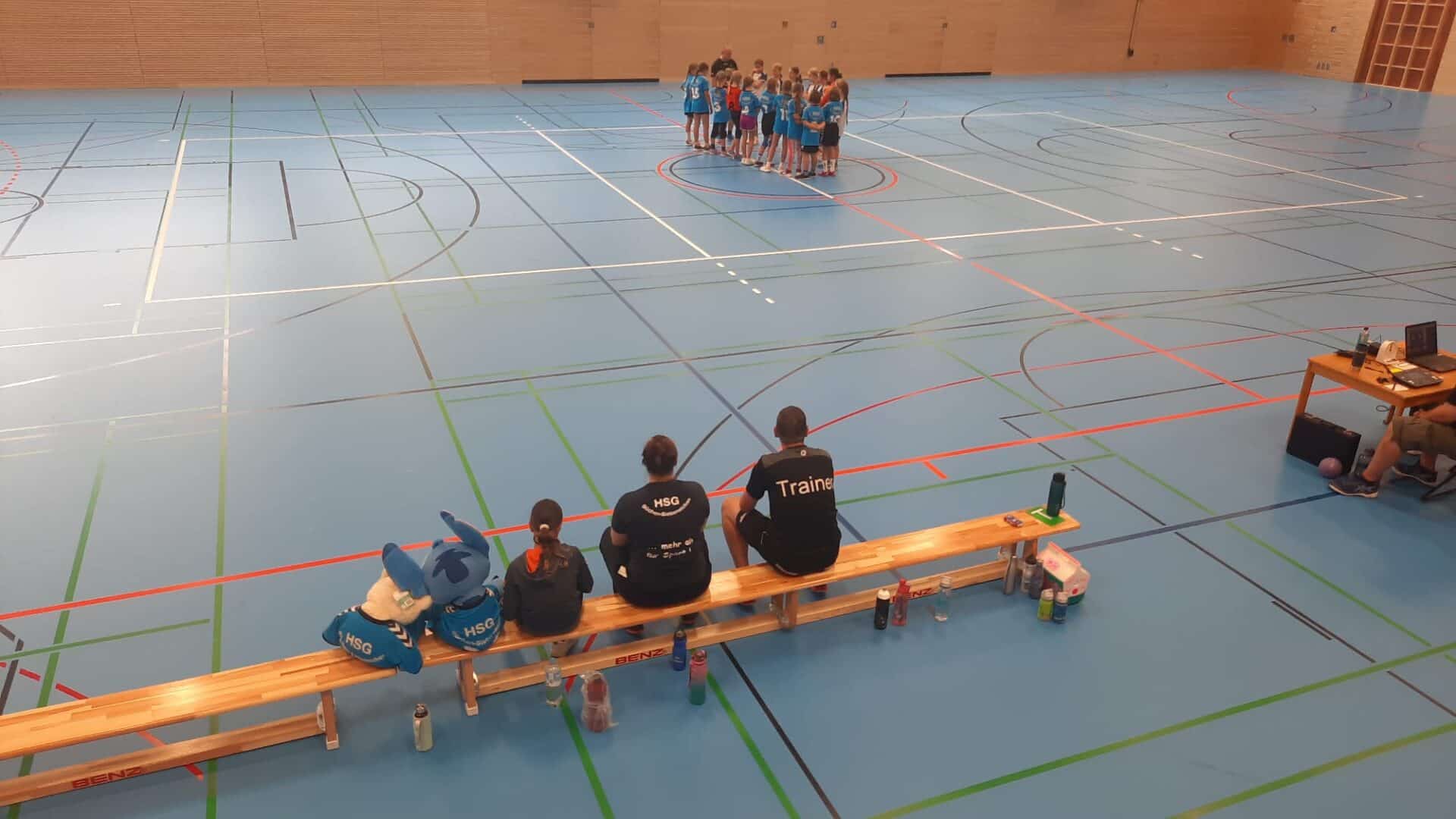 Handball wje vflgeesthacht 5