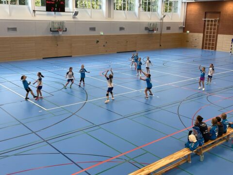 Handball wje vflgeesthacht 7
