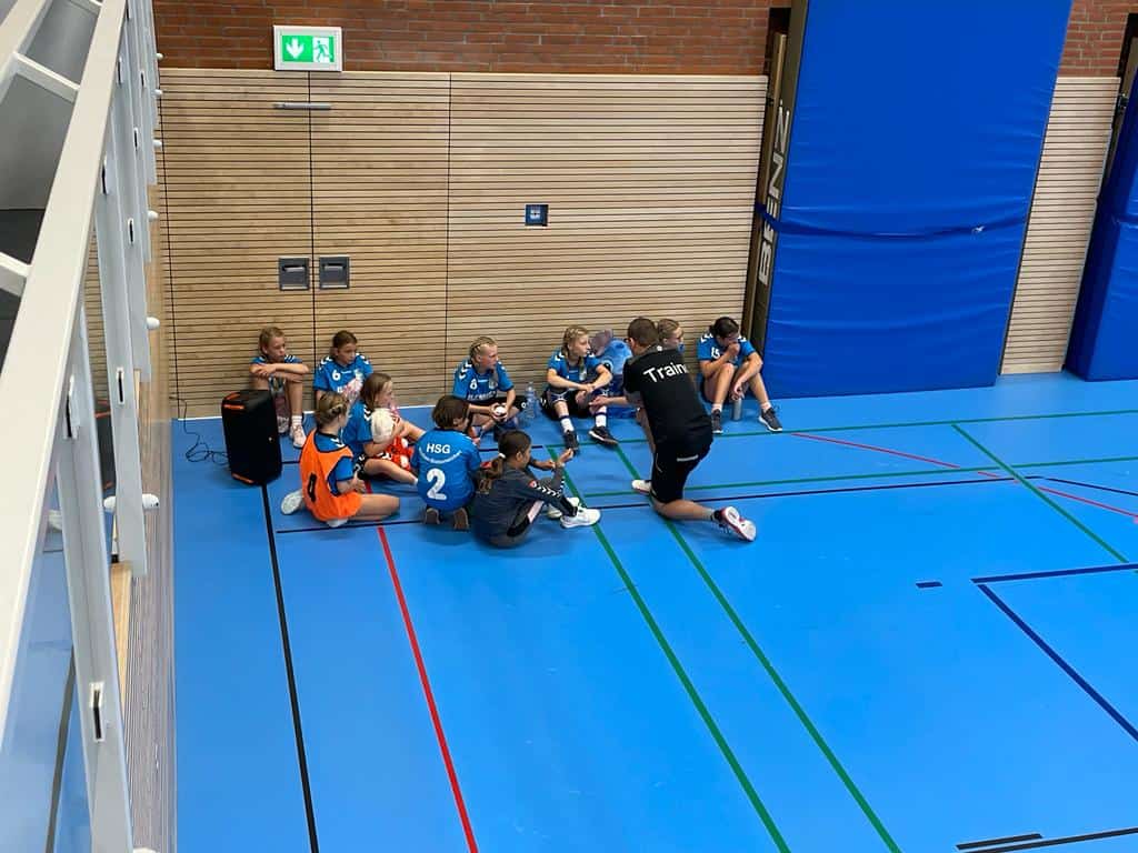 Handball wje vflgeesthacht 8